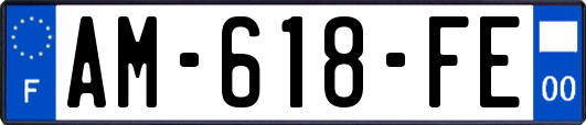AM-618-FE