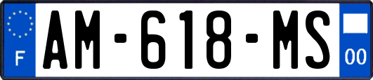 AM-618-MS