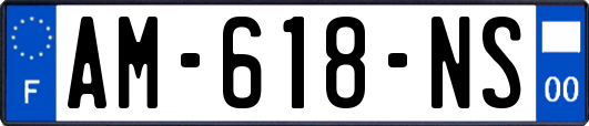 AM-618-NS
