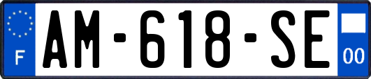 AM-618-SE
