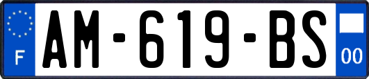 AM-619-BS