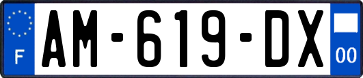 AM-619-DX