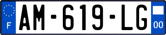 AM-619-LG