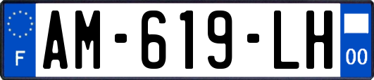 AM-619-LH