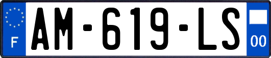 AM-619-LS