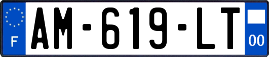 AM-619-LT