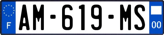 AM-619-MS