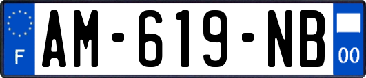 AM-619-NB