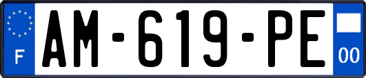 AM-619-PE