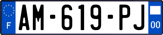 AM-619-PJ