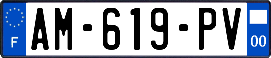 AM-619-PV