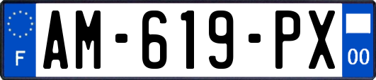 AM-619-PX