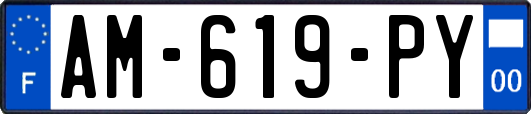 AM-619-PY