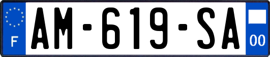 AM-619-SA