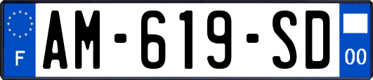 AM-619-SD