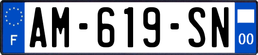 AM-619-SN