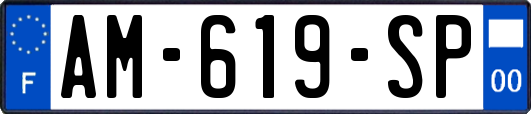 AM-619-SP
