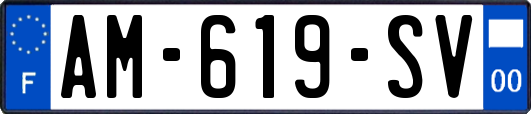 AM-619-SV