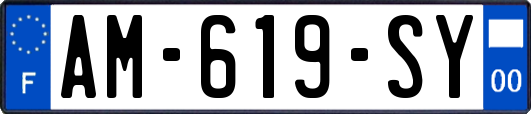 AM-619-SY