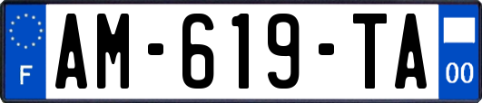 AM-619-TA