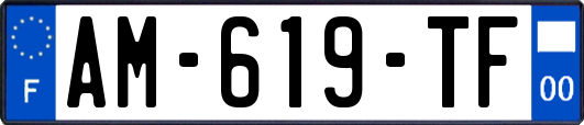AM-619-TF