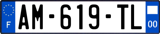 AM-619-TL