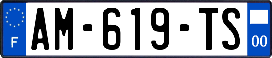 AM-619-TS