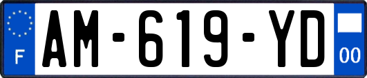AM-619-YD