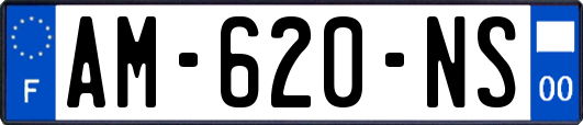 AM-620-NS