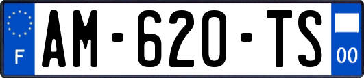 AM-620-TS