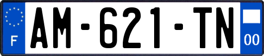 AM-621-TN