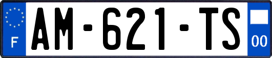 AM-621-TS