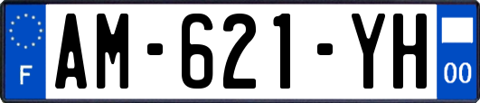 AM-621-YH