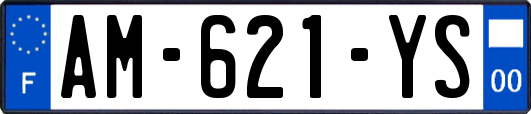 AM-621-YS