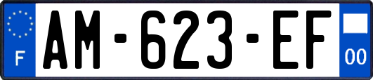 AM-623-EF