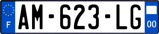 AM-623-LG