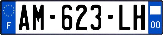 AM-623-LH
