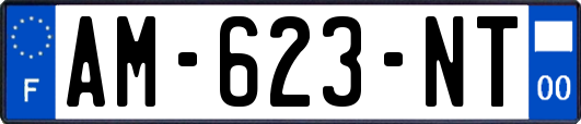 AM-623-NT