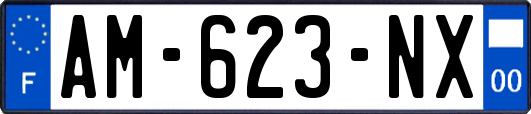 AM-623-NX