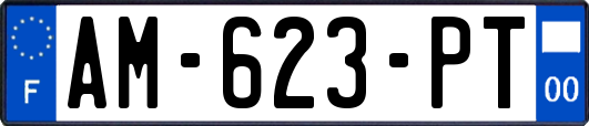 AM-623-PT