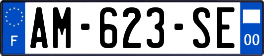 AM-623-SE