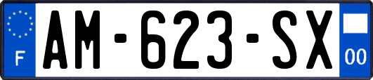 AM-623-SX