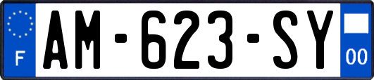 AM-623-SY