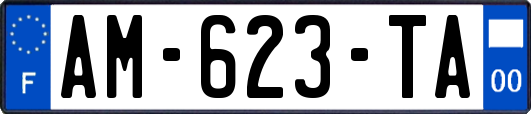 AM-623-TA