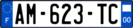 AM-623-TC