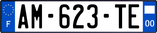 AM-623-TE