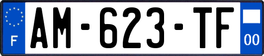 AM-623-TF