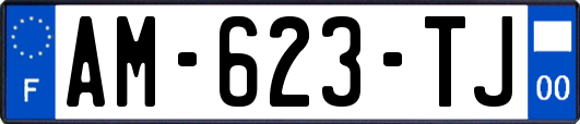 AM-623-TJ