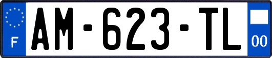 AM-623-TL