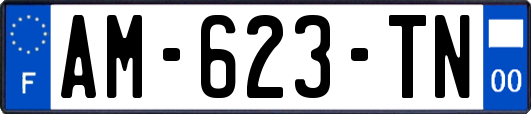 AM-623-TN